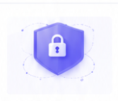 Security lock shield